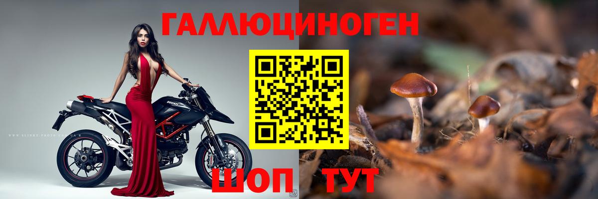 Псилоцибиновые грибы Cubensis Обнинск