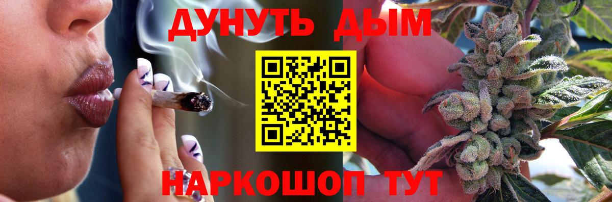 Конопля гибрид Обнинск